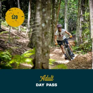 Adult Day Pass: $29