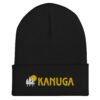 Cuffed Beanie