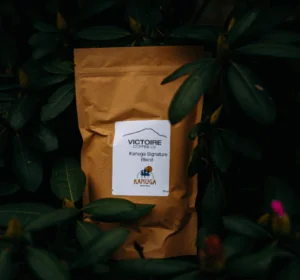 Kanuga Coffee Bag